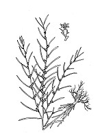 J0481.jpg J0481.jpg