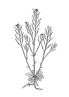J0483.jpg J0483.jpg