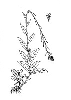 J0484.jpg J0484.jpg