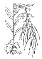 J0491.jpg J0491.jpg