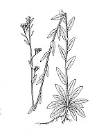 J0492.jpg J0492.jpg