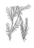 J0496.jpg J0496.jpg