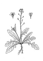 J0497.jpg J0497.jpg