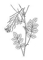 J0498.jpg J0498.jpg