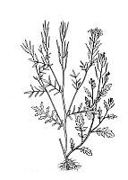 J0500.jpg J0500.jpg