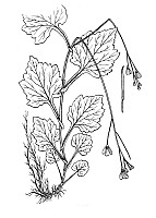 J0503.jpg J0503.jpg