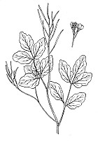 J0510.jpg J0510.jpg