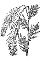 J0511.jpg J0511.jpg