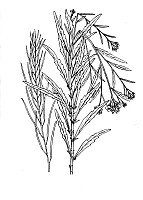 J0512.jpg J0512.jpg