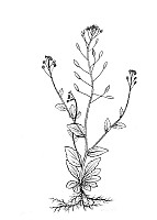 J0515.jpg J0515.jpg
