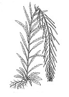 J0517.jpg J0517.jpg