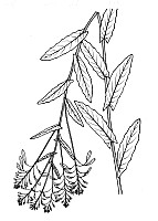 J0518.jpg J0518.jpg