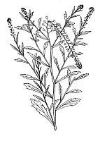 J0520.jpg J0520.jpg
