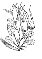 J0521.jpg J0521.jpg