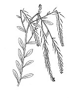 J0527.jpg J0527.jpg