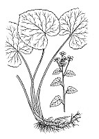 J0530.jpg J0530.jpg