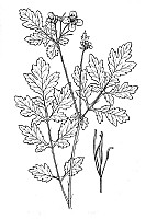 J0531.jpg J0531.jpg