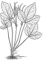 J0532.jpg J0532.jpg