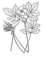 J0533.jpg J0533.jpg