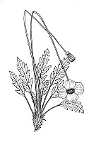J0534.jpg J0534.jpg