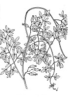 J0538.jpg J0538.jpg
