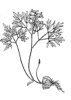 J0539.jpg J0539.jpg