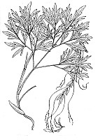 J0541.jpg J0541.jpg