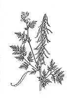 J0545.jpg J0545.jpg