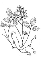 J0549.jpg J0549.jpg