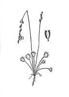 J0558.jpg J0558.jpg