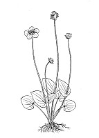 J0560.jpg J0560.jpg