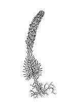 J0562.jpg J0562.jpg