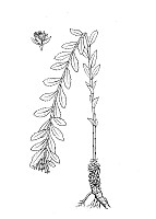 J0566.jpg J0566.jpg