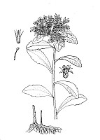 J0572.jpg J0572.jpg