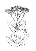 J0577.jpg J0577.jpg