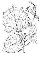 J0583.jpg J0583.jpg