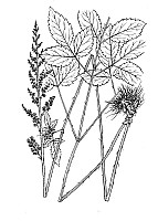 J0584.jpg J0584.jpg
