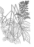 J0588.jpg J0588.jpg