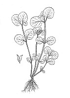 J0591.jpg J0591.jpg