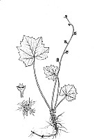 J0597.jpg J0597.jpg