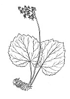 J0598.jpg J0598.jpg