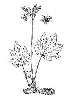 J0600.jpg J0600.jpg