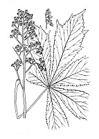 J0601.jpg J0601.jpg