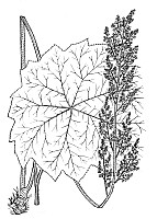 J0602.jpg J0602.jpg