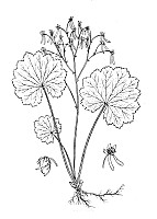 J0604.jpg J0604.jpg