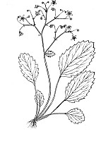 J0609.jpg J0609.jpg