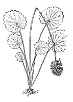 J0610.jpg J0610.jpg