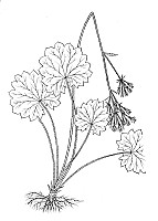 J0611.jpg J0611.jpg
