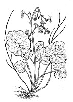J0613.jpg J0613.jpg
