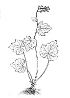 J0614.jpg J0614.jpg